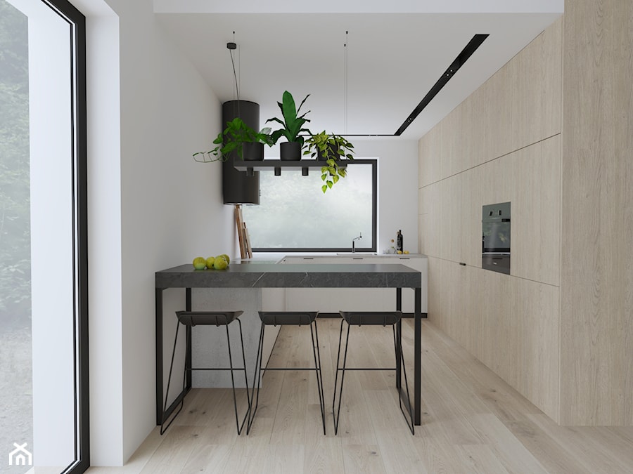 Projekt 55 - Kuchnia, styl minimalistyczny - zdjęcie od PASS architekci