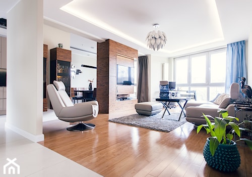 apartament - Salon, styl nowoczesny - zdjęcie od pracowania projektowa Danieli Czachowskiej