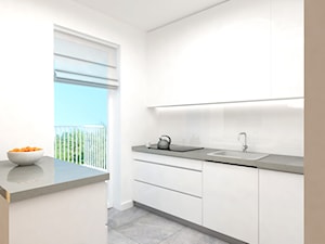 Projekt mieszkania w Poznaniu - Kuchnia, styl nowoczesny - zdjęcie od marina suchorska architektura wnętrz