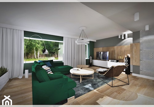 Salon z zieloną kanapą... - Duży szary zielony salon - zdjęcie od Fusion- projektowanie i aranżacja wnętrz