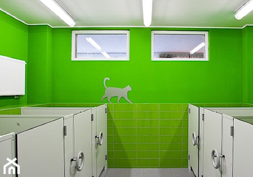 Sanitariaty w PRZEDSZKOLU NR 20 - Średnia łazienka z oknem, styl nowoczesny - zdjęcie od KLIFF DESIGN