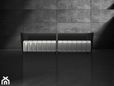 Aranżacje wnętrz - Salon: Sofa HALF - Delicious Concept. Przeglądaj, dodawaj i zapisuj najlepsze zdjęcia, pomysły i inspiracje designerskie. W bazie mamy już prawie milion fotografii!