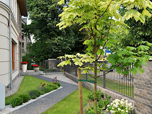 Nowoczesny, elegancki ogród. - Średni z nawierzchnią pokrytą kostką brukową ogród przed domem, styl minimalistyczny - zdjęcie od PracowniaDabrowska