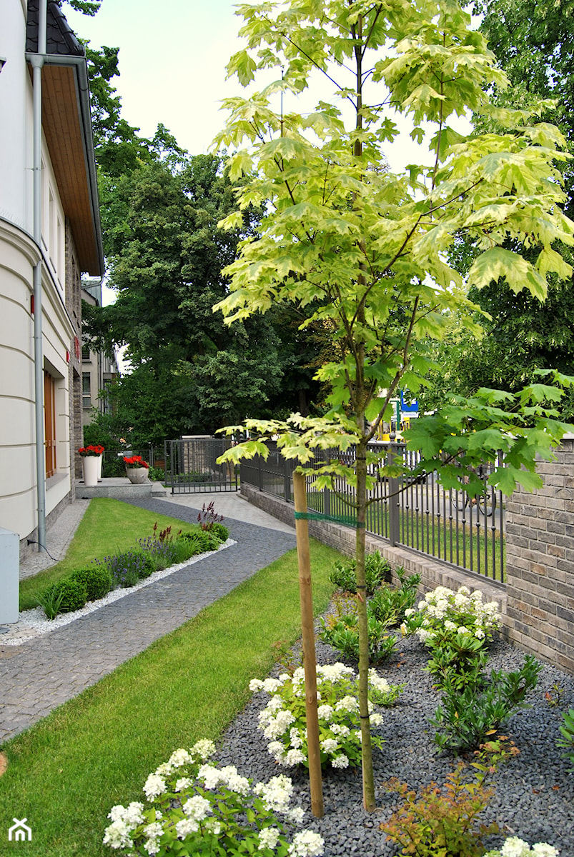 Nowoczesny, elegancki ogród. - Średni z nawierzchnią pokrytą kostką brukową ogród przed domem, styl minimalistyczny - zdjęcie od PracowniaDabrowska
