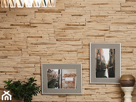 Aranżacje wnętrz - Biuro: Kamień dekoracyjny Venezia - Biuro - STEGU. Przeglądaj, dodawaj i zapisuj najlepsze zdjęcia, pomysły i inspiracje designerskie. W bazie mamy już prawie milion fotografii!