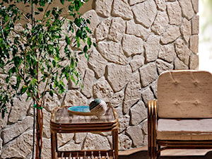 Kamień dekoracyjny Rodos - Salon - zdjęcie od STEGU