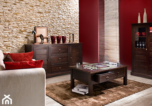 Kamień dekoracyjny Colorado - Średni beżowy czerwony salon, styl tradycyjny - zdjęcie od STEGU