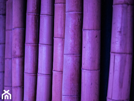 Aranżacje wnętrz - Biuro: scianka bambusowa - leszekcholka. Przeglądaj, dodawaj i zapisuj najlepsze zdjęcia, pomysły i inspiracje designerskie. W bazie mamy już prawie milion fotografii!