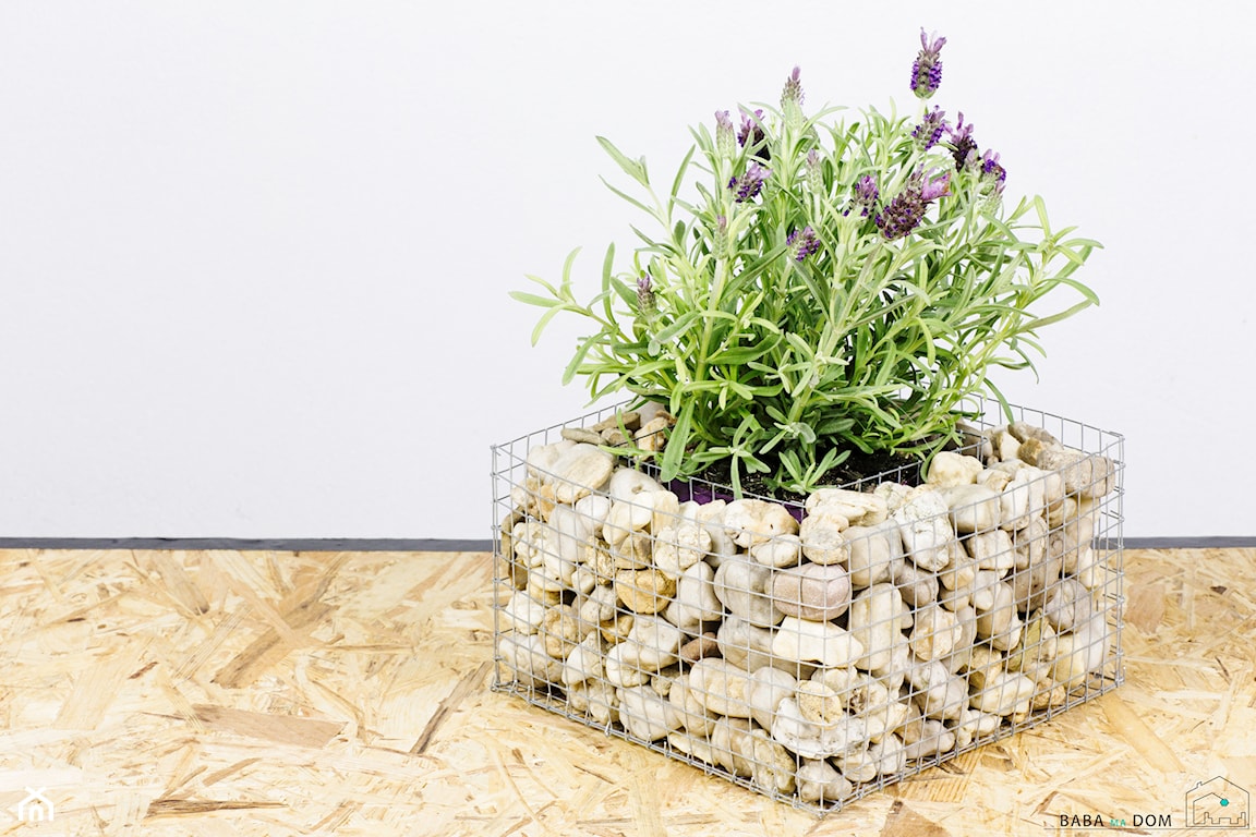 gabion diy, jak zrobić donicę gabionową