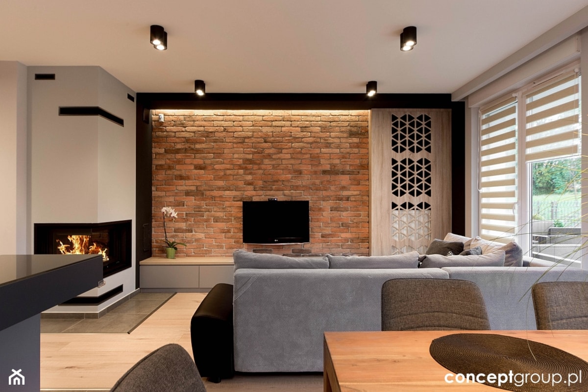 Dom w Rudzie Śląskiej - Realizacja - Średni biały salon, styl nowoczesny - zdjęcie od Conceptgroup - Homebook