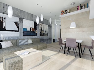 szaro-biało-> apartament wwa - Salon, styl nowoczesny - zdjęcie od made in HOLA