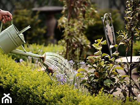 Aranżacje wnętrz - Ogród: Klasyczny, formalny - Średni ogród za domem - Green Point Garden Design. Przeglądaj, dodawaj i zapisuj najlepsze zdjęcia, pomysły i inspiracje designerskie. W bazie mamy już prawie milion fotografii!