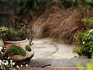 Klasyczny, formalny - Ogród - zdjęcie od Green Point Garden Design