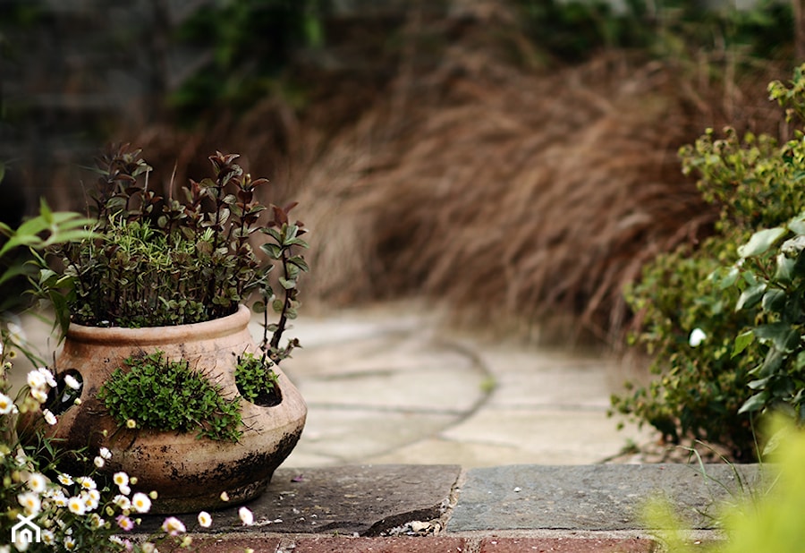 Klasyczny, formalny - Ogród - zdjęcie od Green Point Garden Design