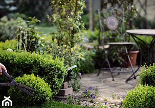 Klasyczny, formalny - Średni z kamienną nawierzchnią ogród za domem - zdjęcie od Green Point Garden Design