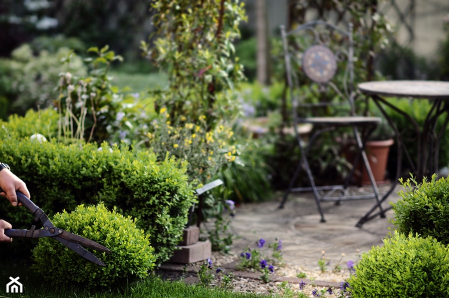 Klasyczny, formalny - Średni z kamienną nawierzchnią ogród za domem - zdjęcie od Green Point Garden Design