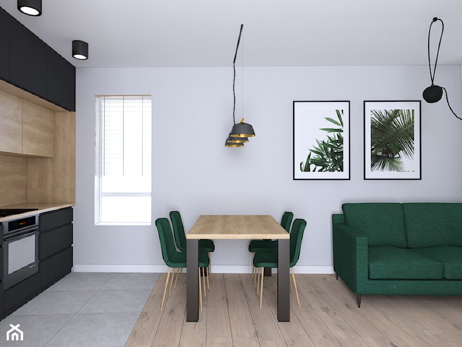 Mieszkanie z czarną kuchnią - Salon, styl nowoczesny - zdjęcie od IM WNĘTRZA | Projektowanie wnętrz