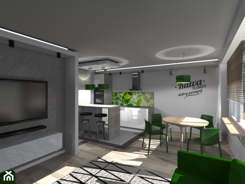 Mieszkanie dla 1 osoby Ruda Śląska - Kuchnia, styl nowoczesny - zdjęcie od Ideal Place - Homebook