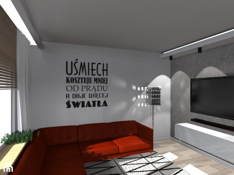 Mieszkanie dla 1 osoby Ruda Śląska - Salon, styl nowoczesny - zdjęcie od Ideal Place