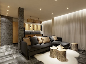 Apartament 47m2. Zakopane - Salon, styl nowoczesny - zdjęcie od PRØJEKTYW | Architektura Wnętrz & Design