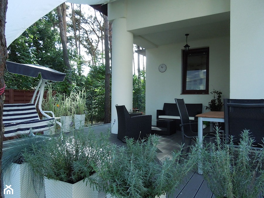 Średni z podłogą z desek z meblami ogrodowymi z huśtawką taras z tyłu domu - zdjęcie od Timberline - skład fabryczny TWINSON