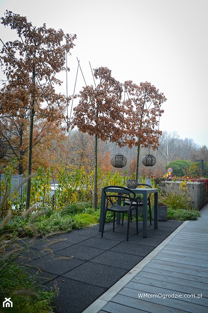 Mały, miejski i nowoczesny ogród na osiedlu - zdjęcie od w Moim Ogrodzie - Homebook