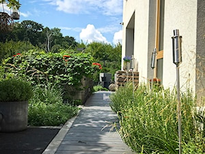 Mały, miejski i nowoczesny ogród na osiedlu - zdjęcie od w Moim Ogrodzie