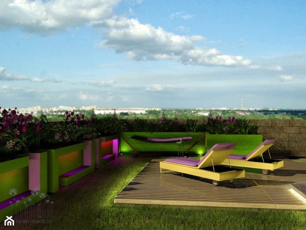 Ogród na dachu. Warszawa - zdjęcie od w Moim Ogrodzie - Homebook