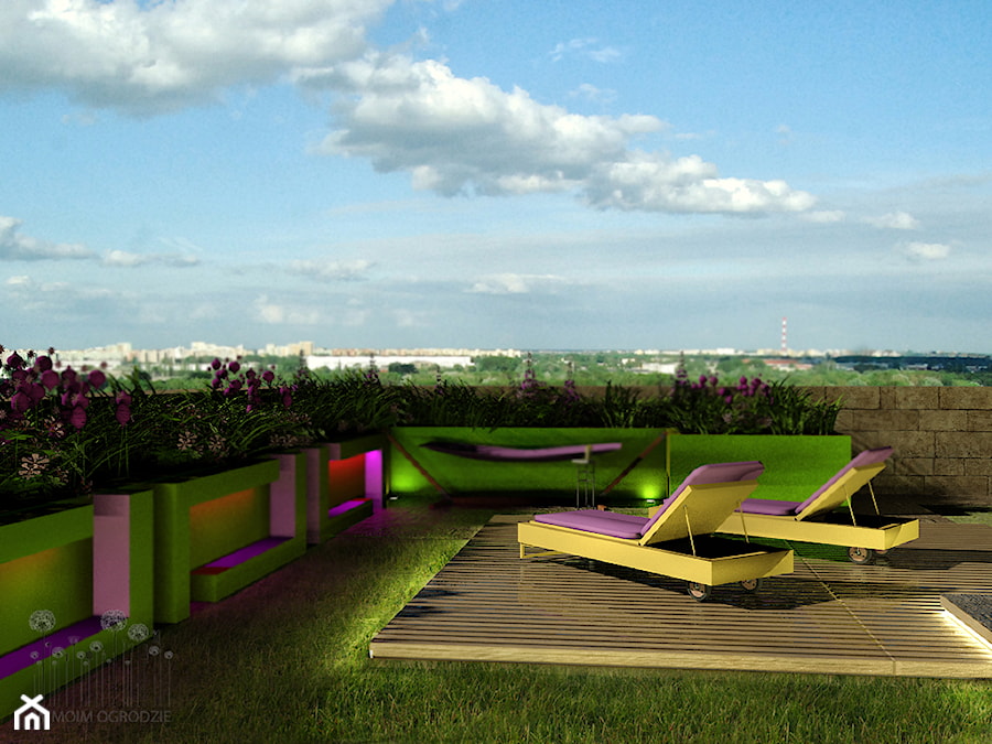 Ogród na dachu. Warszawa - zdjęcie od w Moim Ogrodzie