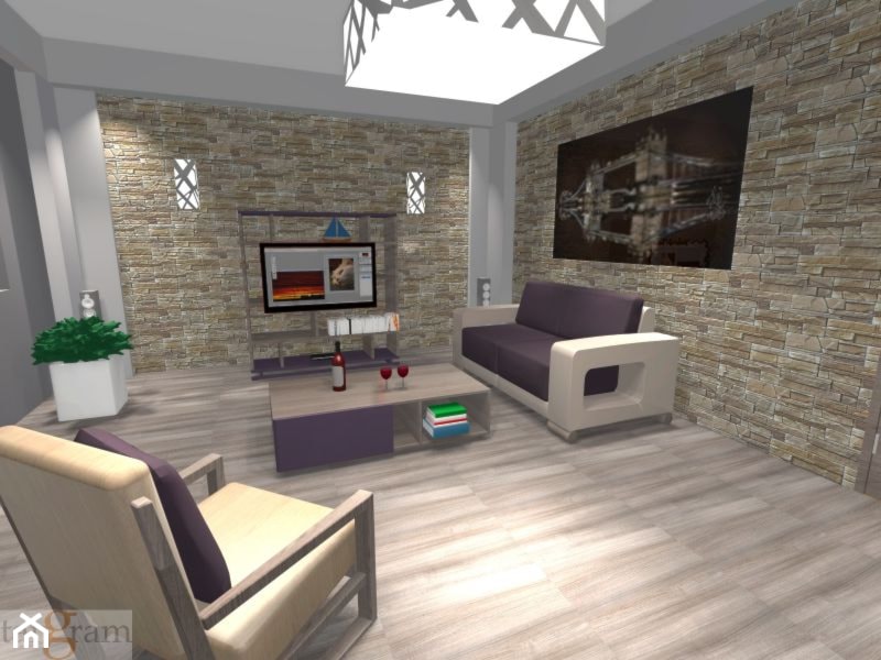 Salon w mieszkaniu -Kalisz - zdjęcie od Tangram wnętrza w dobrym stylu