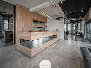 Meble biurowe - Wnętrza publiczne, styl minimalistyczny - zdjęcie od Zirador - Meble tworzone z pasją