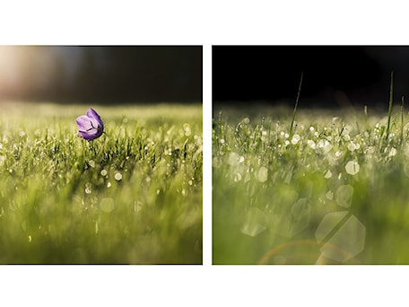 Aranżacje wnętrz - : - Marcin Sroka - Fotograf. Przeglądaj, dodawaj i zapisuj najlepsze zdjęcia, pomysły i inspiracje designerskie. W bazie mamy już prawie milion fotografii!