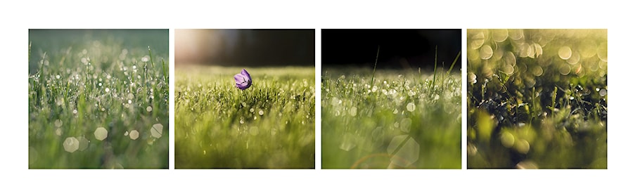 - zdjęcie od Marcin Sroka - Fotograf