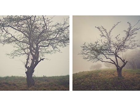 Aranżacje wnętrz - : - Marcin Sroka - Fotograf. Przeglądaj, dodawaj i zapisuj najlepsze zdjęcia, pomysły i inspiracje designerskie. W bazie mamy już prawie milion fotografii!