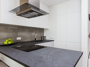 Mieszkanie 43m2 na wynajem - Kuchnia - zdjęcie od ZAWICKA-ID Projektowanie wnętrz