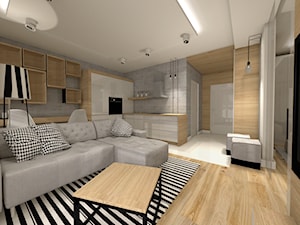 Salon, styl minimalistyczny - zdjęcie od Projektowanie i aranżacja wnętrz mieszkalnych i komercyjnych