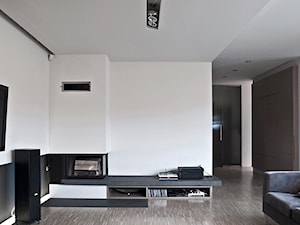 Projekt wnętrz domu jednorodzinnego w Poznaniu - Salon, styl minimalistyczny - zdjęcie od CONDE konrad idaszewski architekt