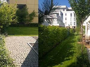 Ogród przy Al. Wilanowskiej 02 - Ogród, styl nowoczesny - zdjęcie od iGreen Architektura Krajobrazu i Miejskie Formy