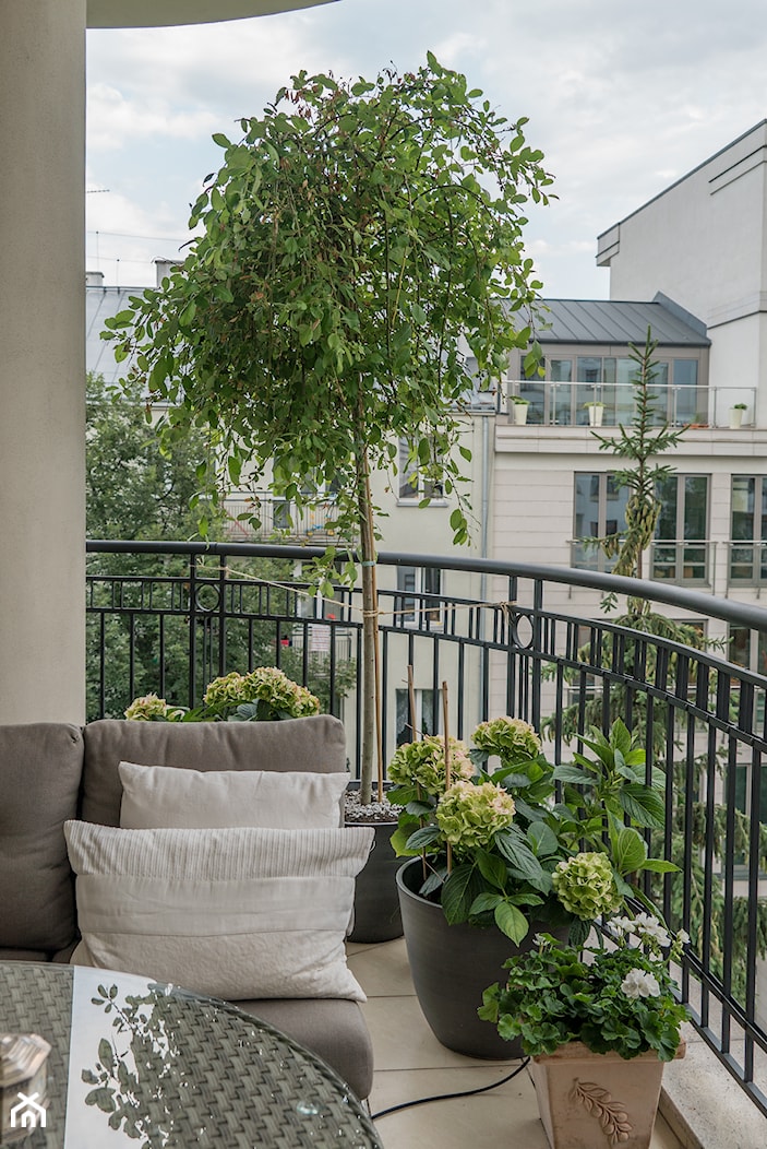 Elegancki balkon - zdjęcie od Miejskie Ziele - Homebook