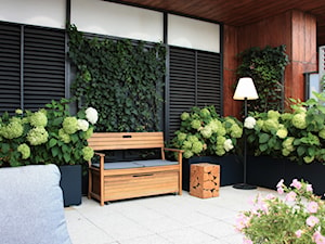 Zielony taras w apartamentowcu - zdjęcie od Miejskie Ziele