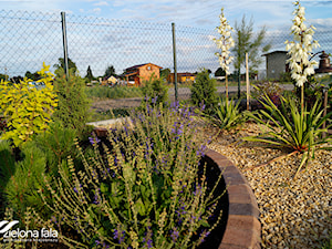Projekt ogrodu R.O.D.O.S. - Średni ogród za domem - zdjęcie od zielonaFALA