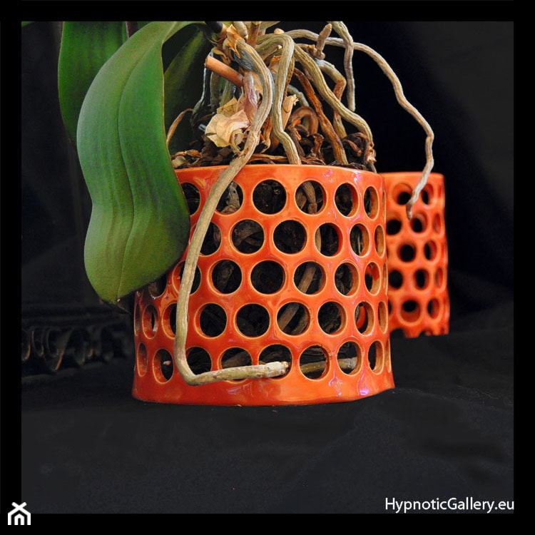 Pomarańczowy koszyczek na storczyki - zdjęcie od hypnotic - Homebook