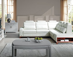 Max S-line XL - Mały biały szary salon, styl tradycyjny - zdjęcie od Fabryka Mebli ‘’UNIMEBEL” Jan Mucha - Homebook