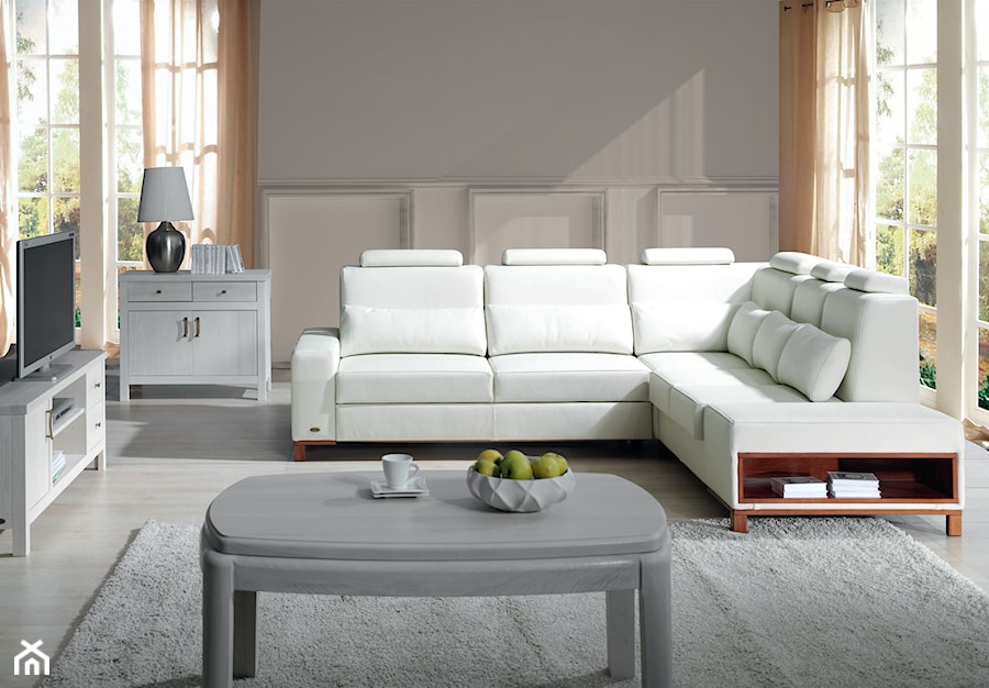 Max S-line XL - Mały biały szary salon, styl tradycyjny - zdjęcie od Fabryka Mebli ‘’UNIMEBEL” Jan Mucha