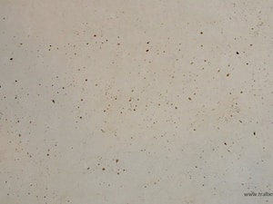 płyta gipsowa, kolor naturalny, 60x80 cm, 90 zł brutto - zdjęcie od tralbet