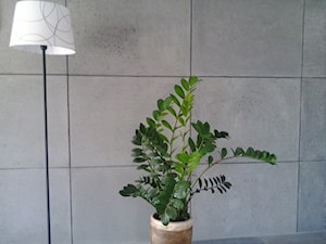płyty etonowe na ścianie. Kolor beton naturalny. - zdjęcie od tralbet