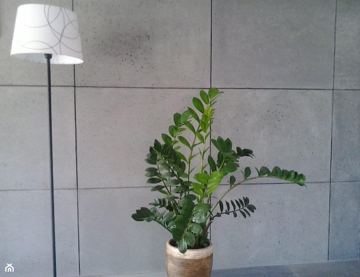 płyty etonowe na ścianie. Kolor beton naturalny. - zdjęcie od tralbet - Homebook