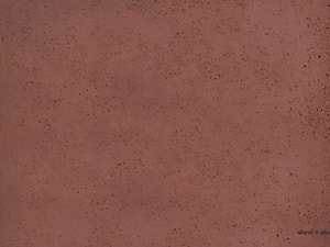 płyta betonowa, róż indyjski, 60x80 cm, 70 zł brutto - zdjęcie od tralbet
