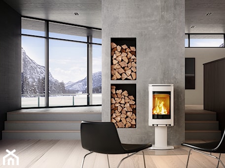 Aranżacje wnętrz - Salon: Jotul F 373 - Jotul. Przeglądaj, dodawaj i zapisuj najlepsze zdjęcia, pomysły i inspiracje designerskie. W bazie mamy już prawie milion fotografii!