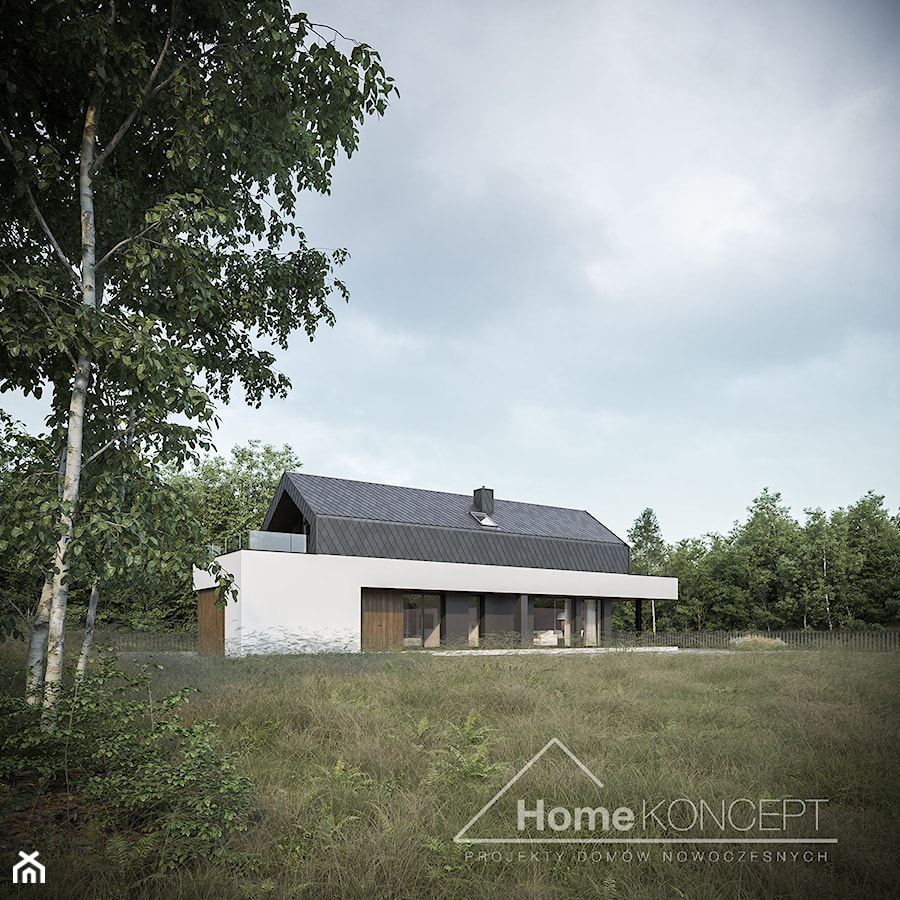 Projekt domu HomeKONCEPT 87 - zdjęcie od HOMEKONCEPT Projekty Domów Nowoczesnych